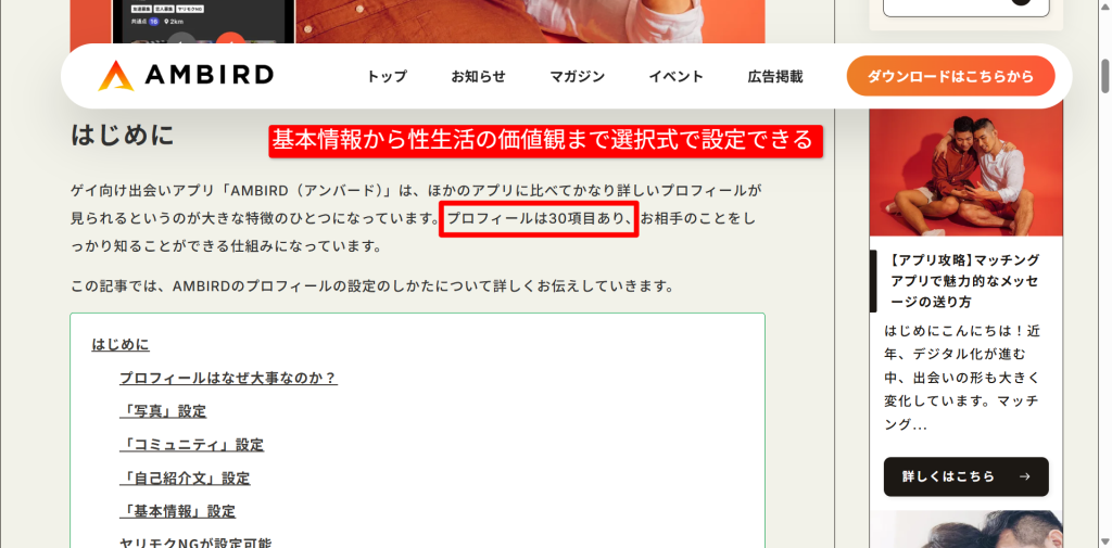 AMBIRD公式の30項目プロフィール解説（2026年3月時点）