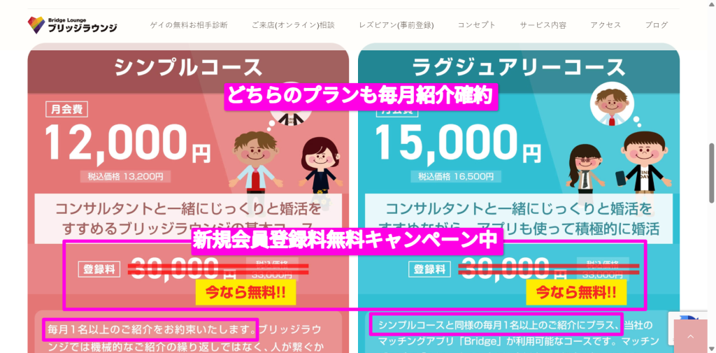 ブリッジラウンジ公式サイトの料金プランとキャンペーン表記(2026年3月時点)